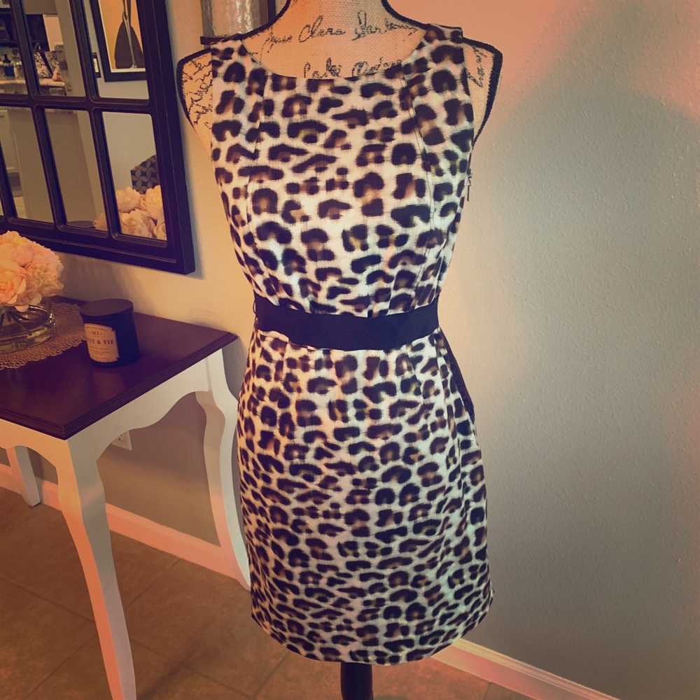 2/$25 Bundle Deal - ANN TAYLOR Super Cute Leopard